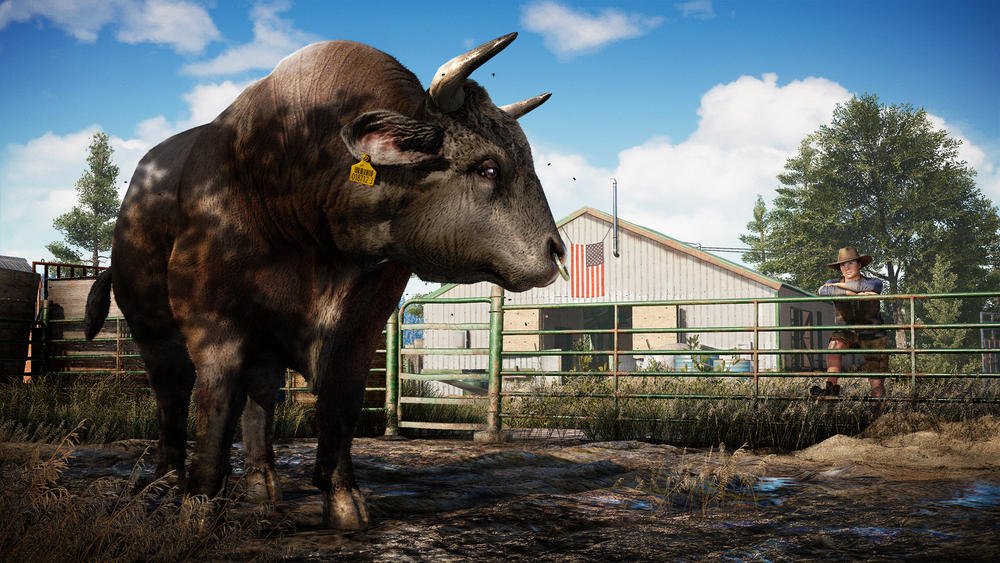 Far Cry 5 PS4 - Image 2